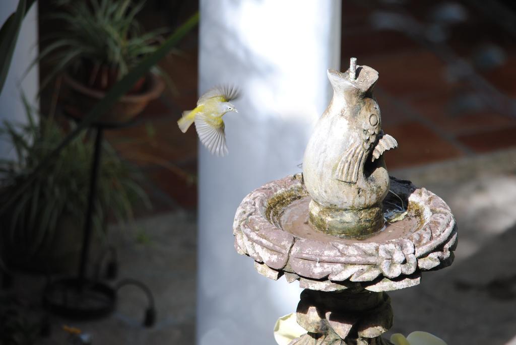 Hotel Jovel San Cristóbal de Las Casas Zewnętrze zdjęcie